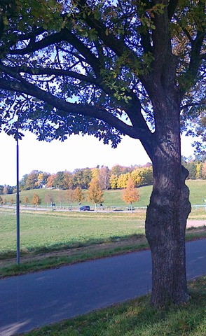 [20101017014[1].jpg]