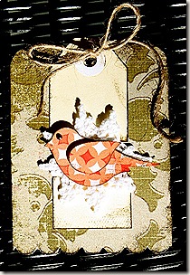 IMG_7313 IMG_7313