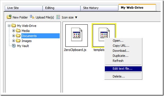 edit-text-files-in-web-drive