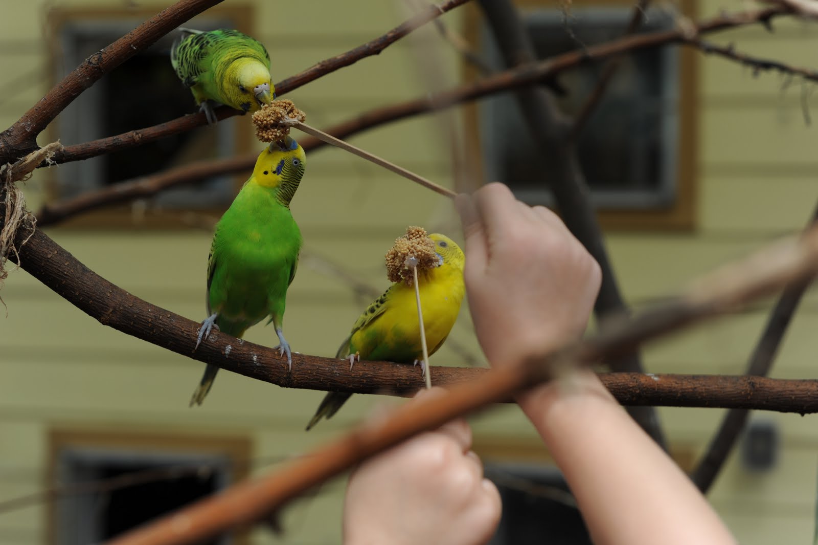 [DSC_0054[2].jpg]