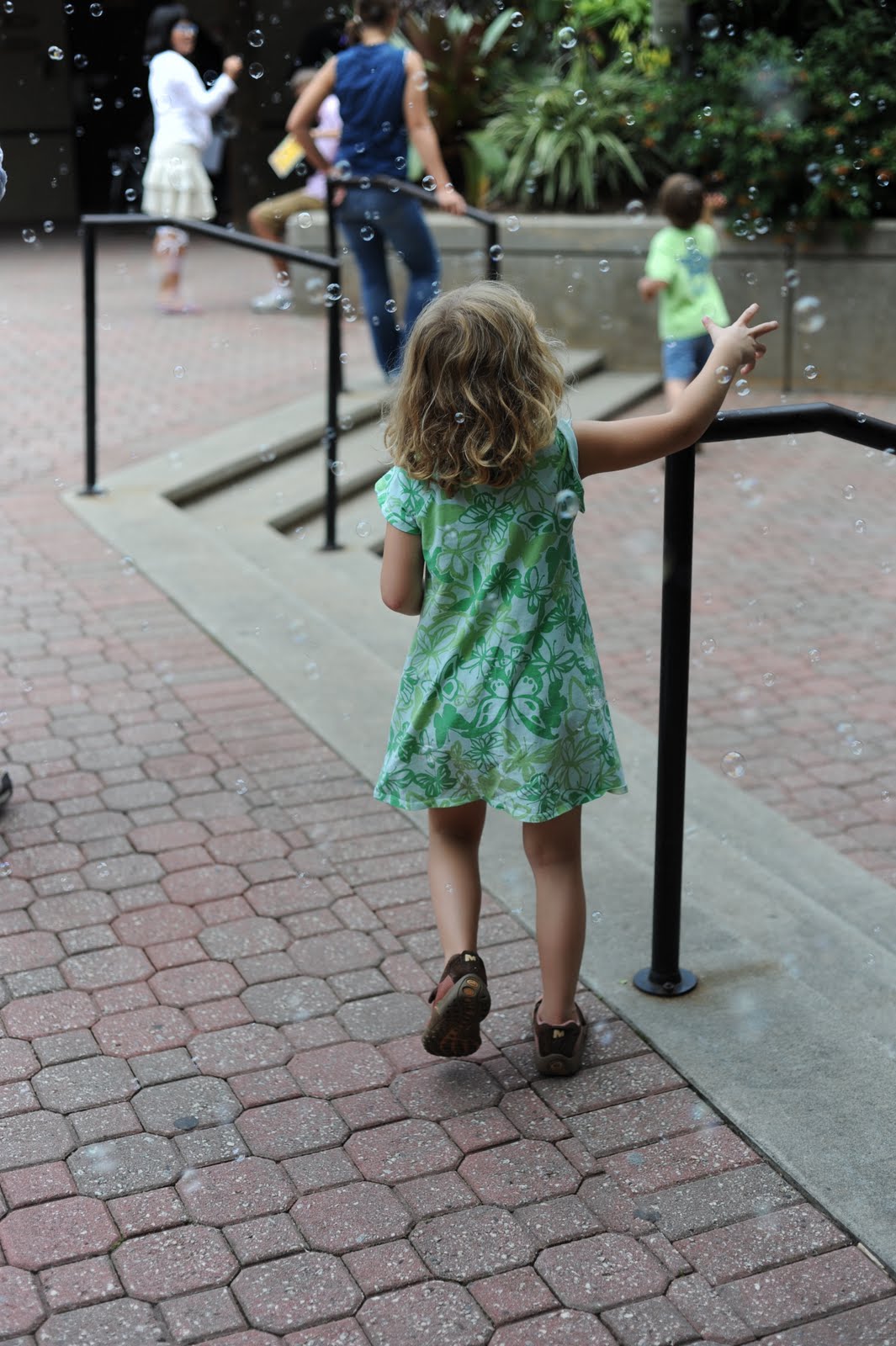 [DSC_0088[3].jpg]
