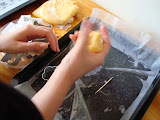 DSC02382_resize.JPG