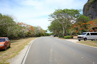 IMG_7704.JPG