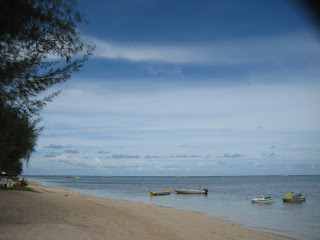 IMG_0197_resize.JPG