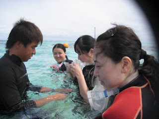 IMG_0216_resize.JPG