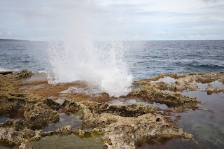 IMG_8021_调整大小.JPG