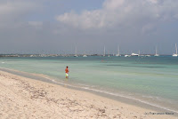 Spiaggia di Illetes Photo