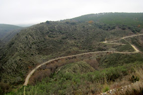 vistas a la vereda