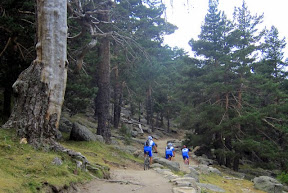 Sierra de Guadarrama