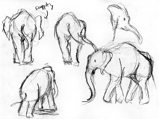 [Elephants-02[4].jpg]