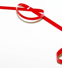 [red tape 250x276[5].jpg]