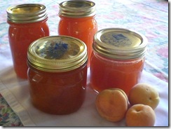 Apricot Jam and Knits 001