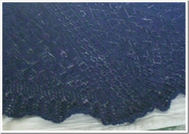 lace shawl cropped
