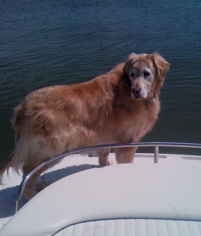 [JoeBoat[3].jpg]