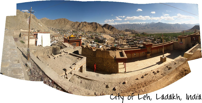 View of Leh from the top!