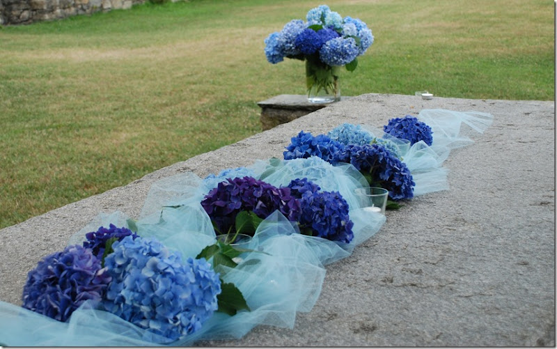 DSC_1095 DSC_1095