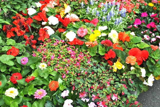 [Immagine02420.jpg]