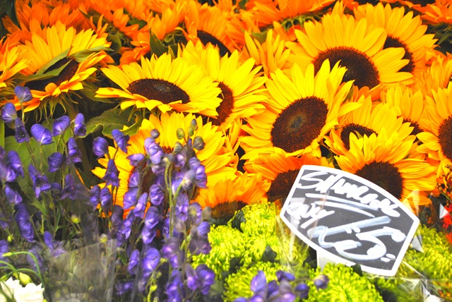 [Immagine04013.jpg]