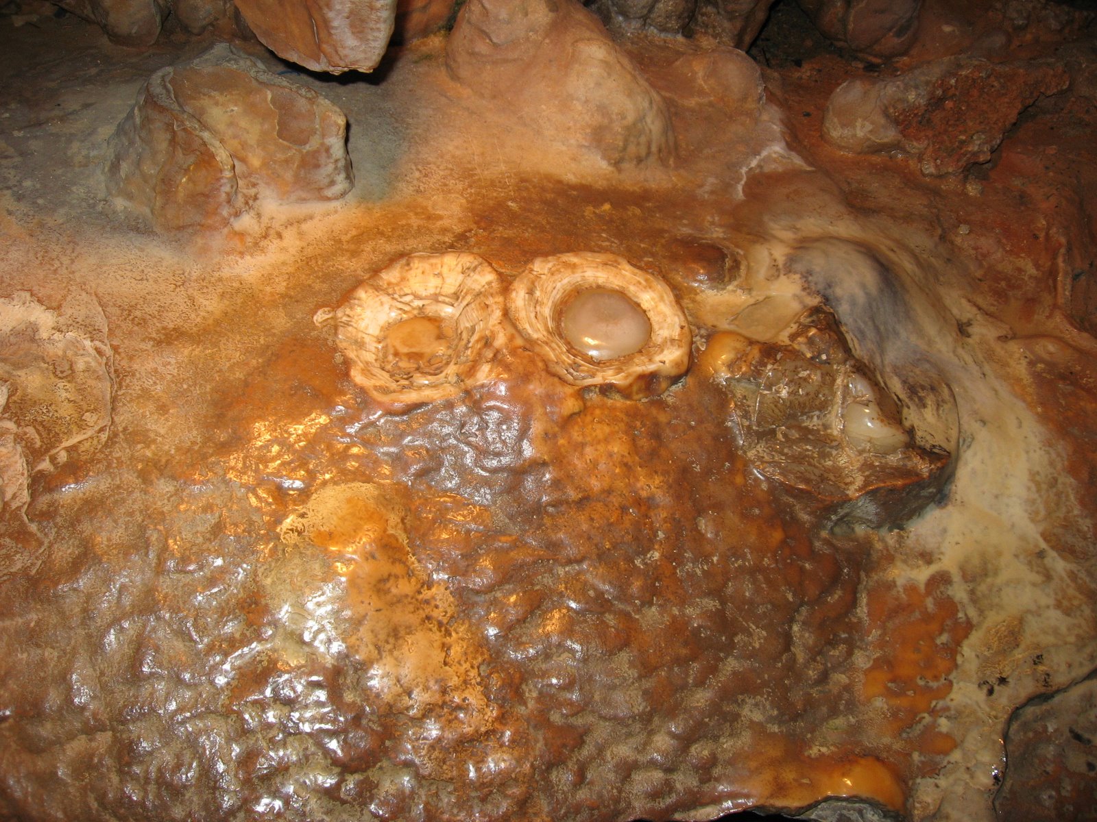 [IMG_3941.JPG]
