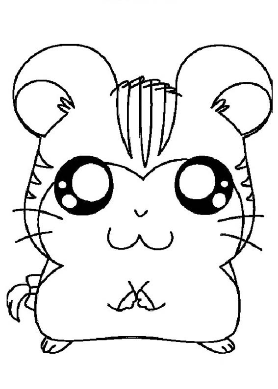 [HAMTARO162.jpg]