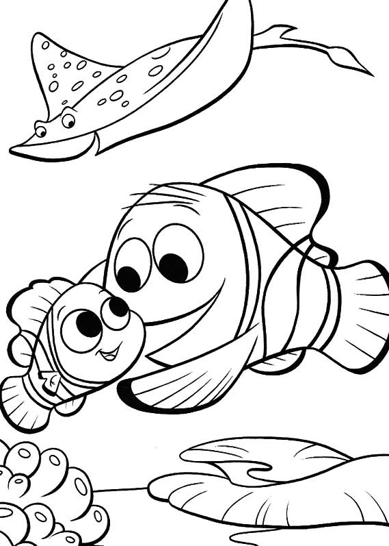 [PROCURANDO NEMO 41[2].jpg]