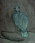 177.2 - Oiseau Nacré (Zoom détail) - 2007<br />
46 x 38 - Acrylique, Sable et encre de Chine sur toile