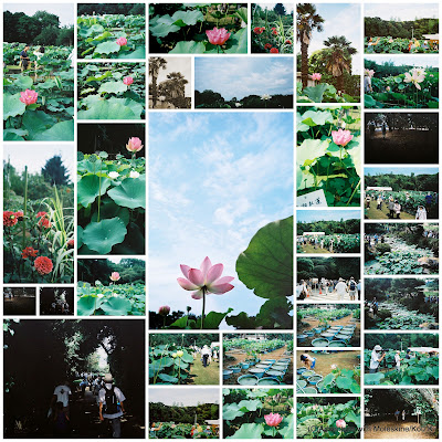 画像コラージュの作り方 モレスキンとめぐる冒険 画像コラージュの作り方 モレスキンとめぐる冒険