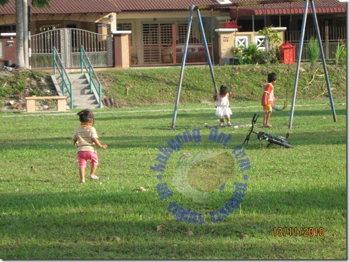IMG_8995 IMG_8995
