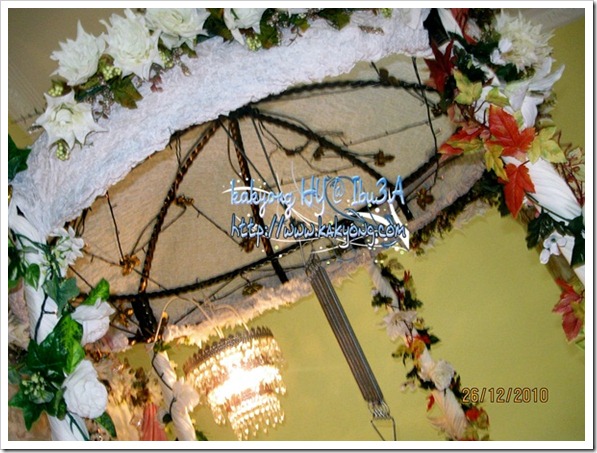 IMG_9683 IMG_9683