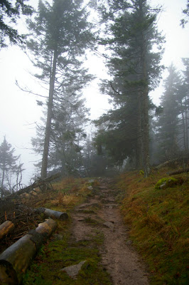 846.jpg