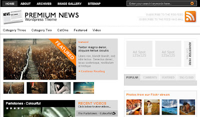 Premium news theme