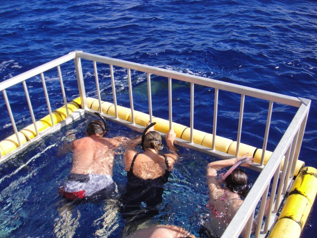 [DSC061505.jpg]