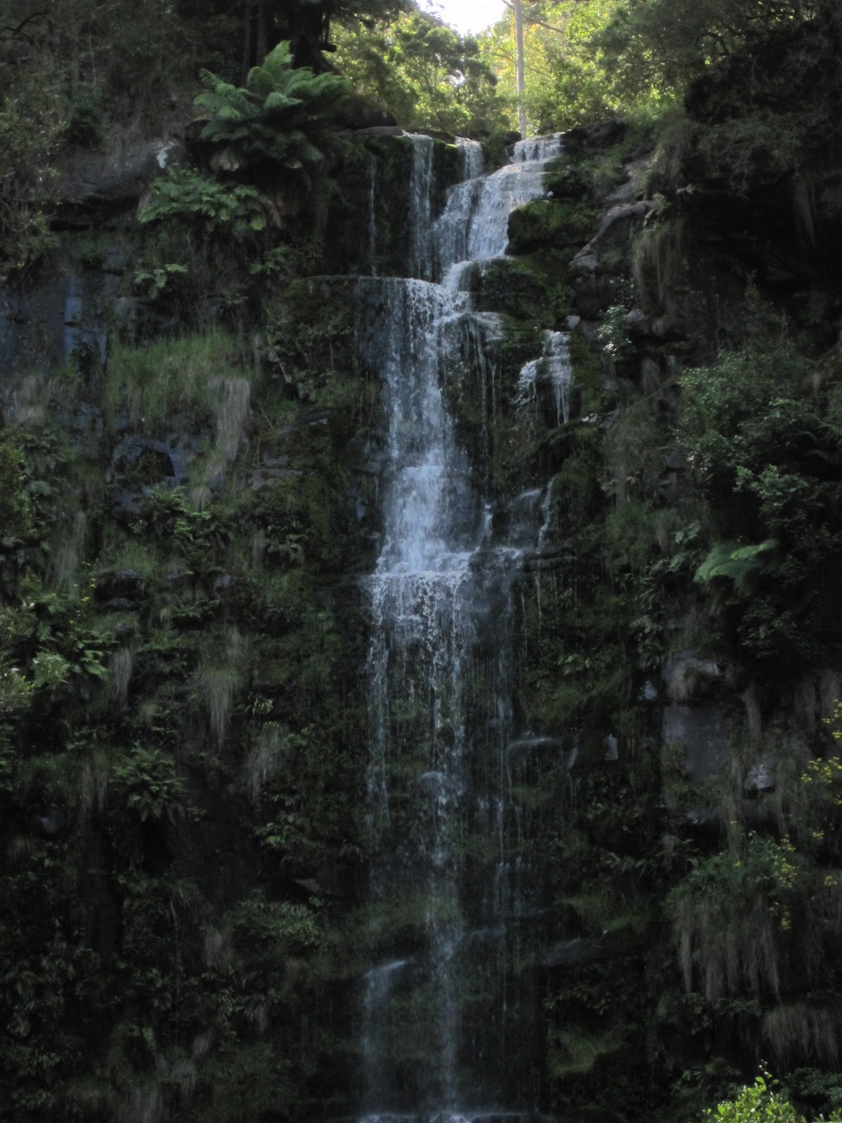 [Katiesvisit21059.jpg]
