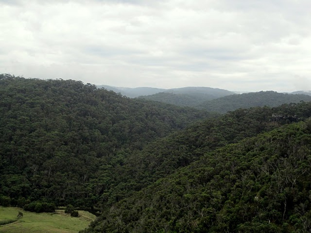 [IMG_19356.jpg]