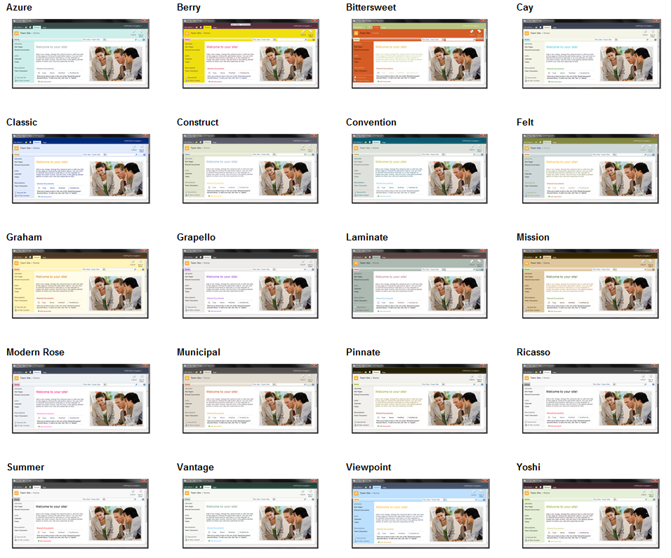 [SharePoint 2010 Themes[5].png]
