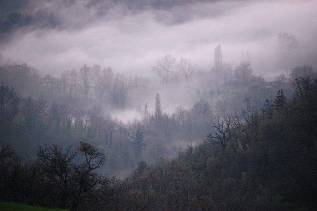 [towards_sranano[2].jpg]