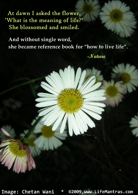 www.LifeMantras.com Living manual