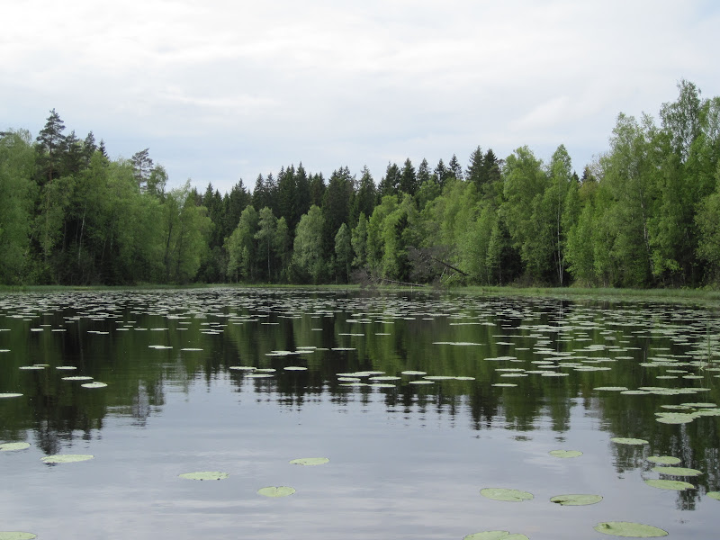 Lake