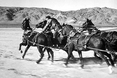 [375px-Yakima_Canutt_Stagecoach[2].jpg]