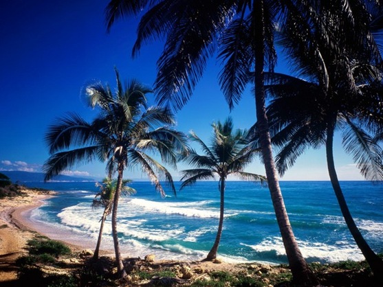 dominican-republic-nature
