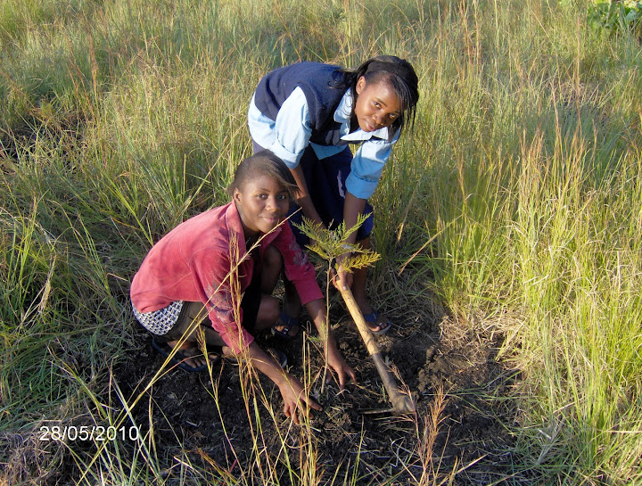 Chipembi Girls Secondary School, Zambia alt