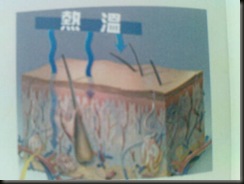 DSC00123 (2)