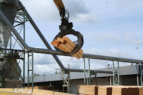 Forestry-Pulpwood Grapples