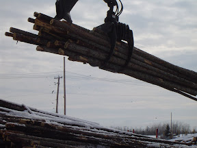 Forestry-Bunching