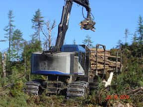 Forestry-Bunching