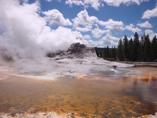 [DSC02865[3].jpg]