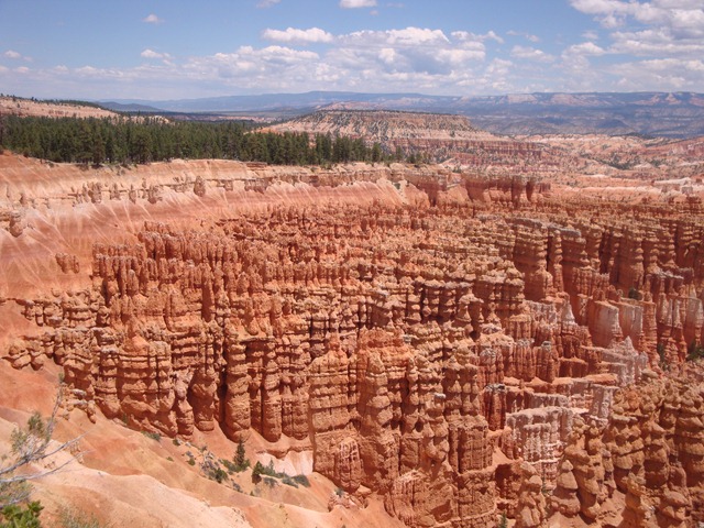 [DSC025943.jpg]