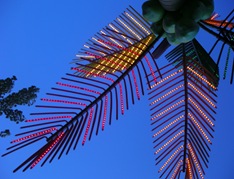 DSCN2639