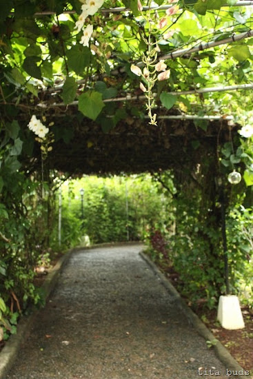 entrance