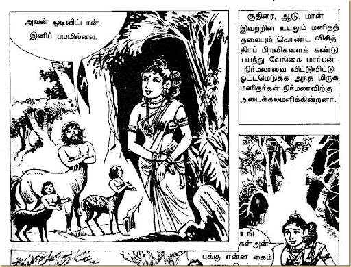 Horse-Vaandu